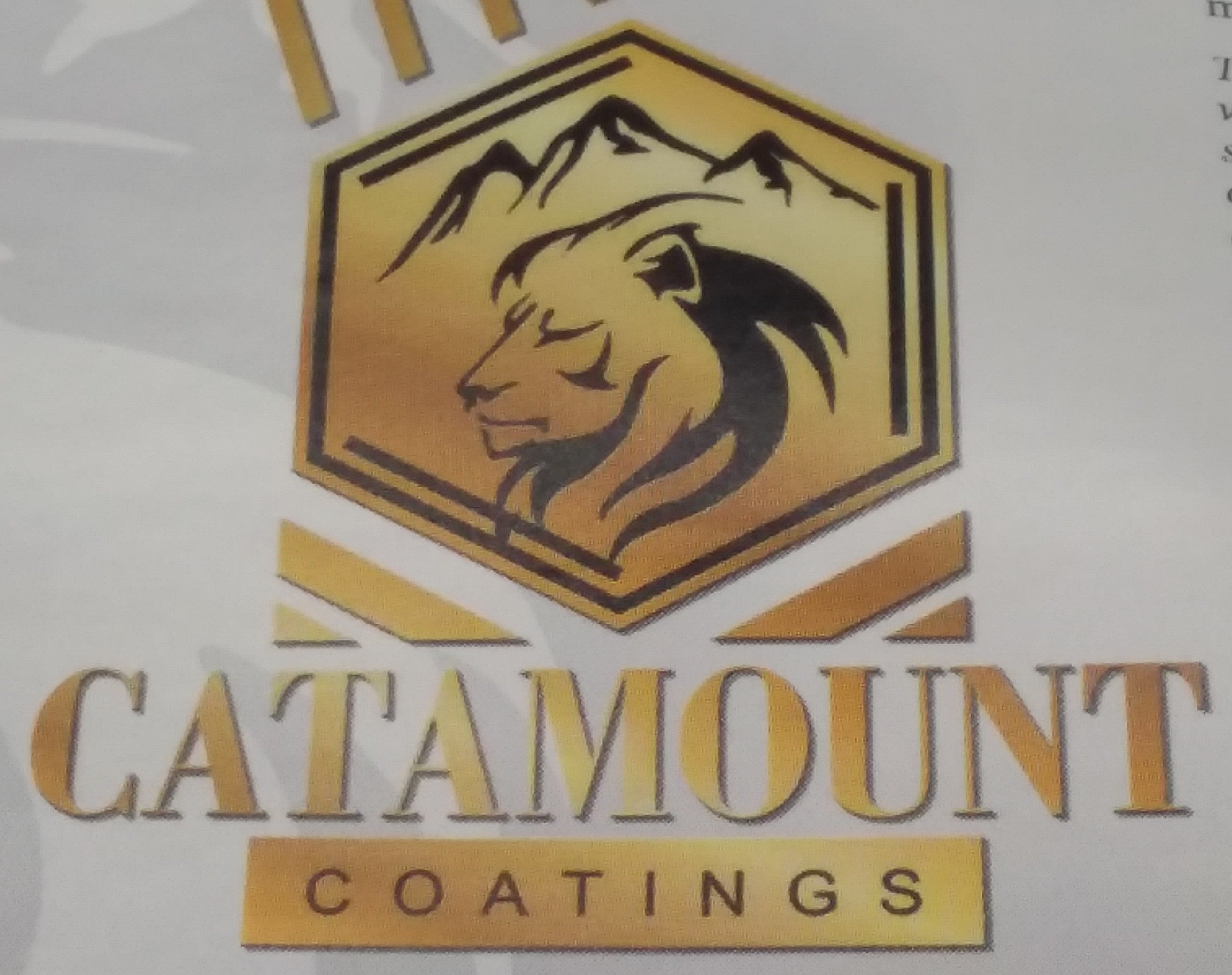 Vivid Black   Harley Davidson Black